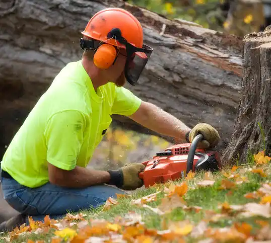 tree services Westerville